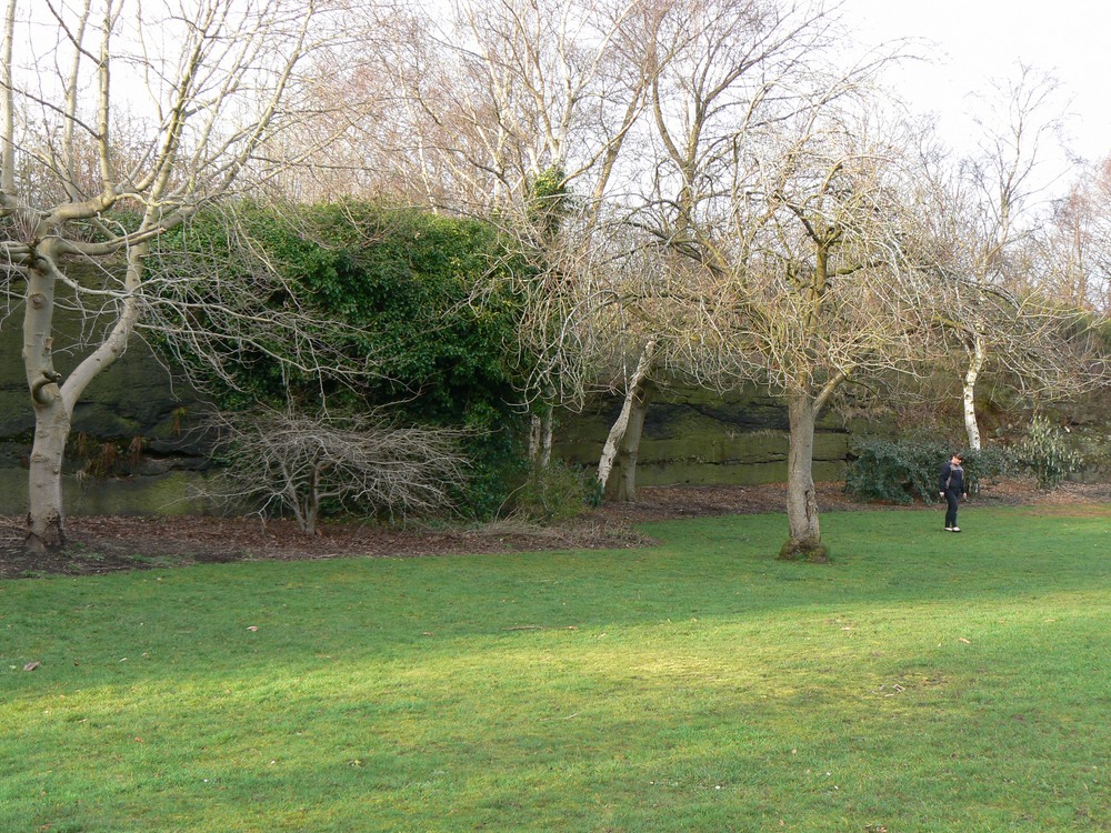 Old quarry 5